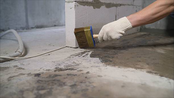 24/7 Emergency Crawl Space Encapsulation experts in Lindenhurst, IL